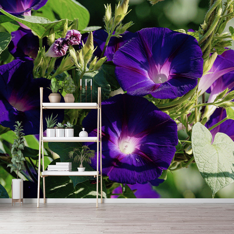 Customized Moisture Resistant Mural Wallpaper Decal Morning Glory Wall Decor