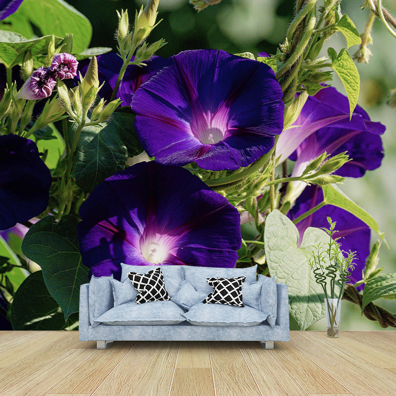 Customized Moisture Resistant Mural Wallpaper Decal Morning Glory Wall Decor