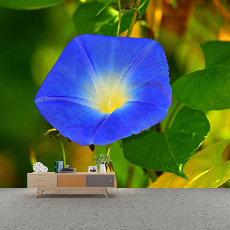 Customized Moisture Resistant Mural Wallpaper Decal Morning Glory Wall Decor