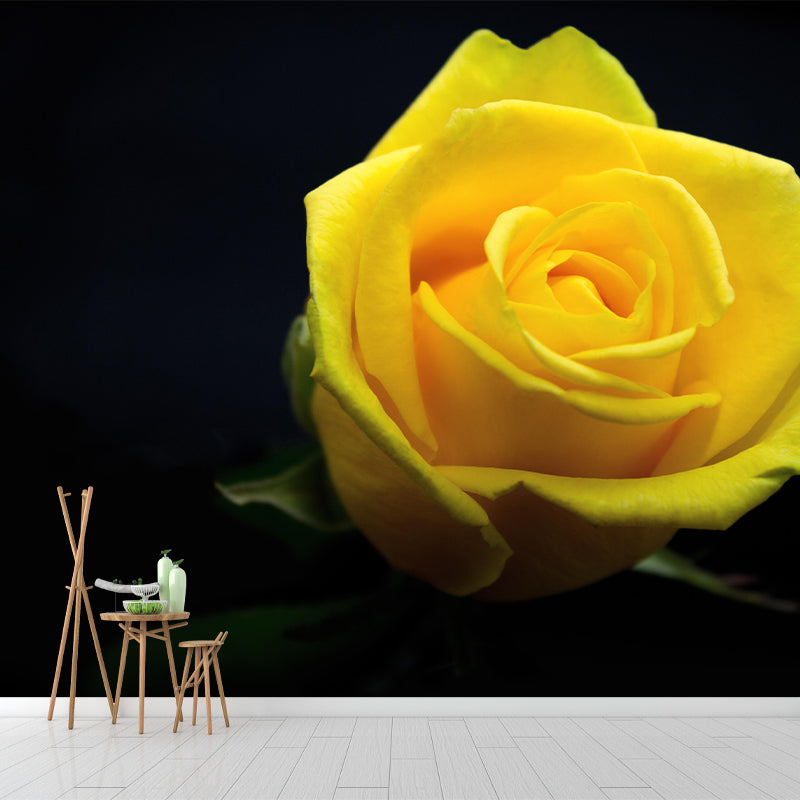 Rose Blooming Mural Decal Modern Style Moisture Resistant for Sitting Room