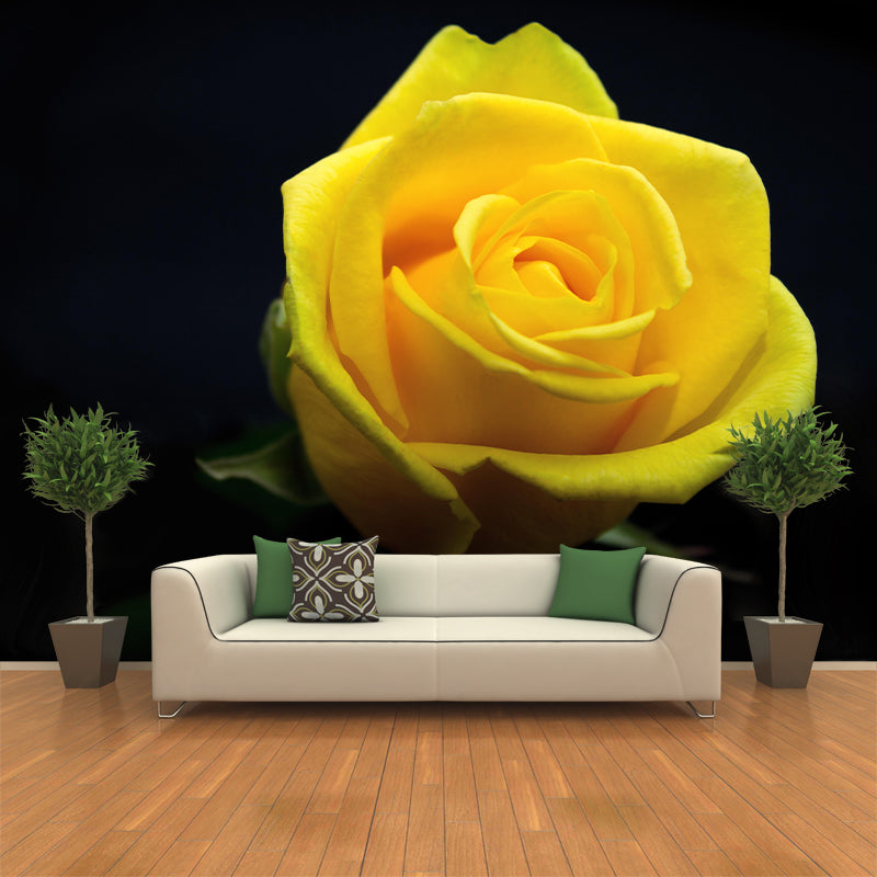 Rose Blooming Mural Decal Modern Style Moisture Resistant for Sitting Room
