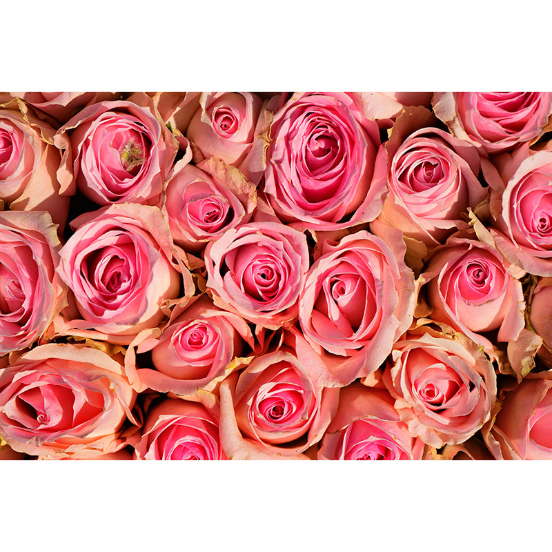 Customized Moisture Resistant Mural Wallpaper Decal Roses Blooming Wall Decor