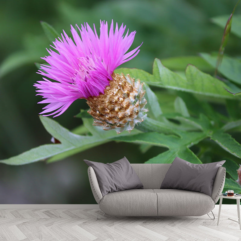 Customized Moisture Resistant Mural Wallpaper Decal Knapweed Wall Decor
