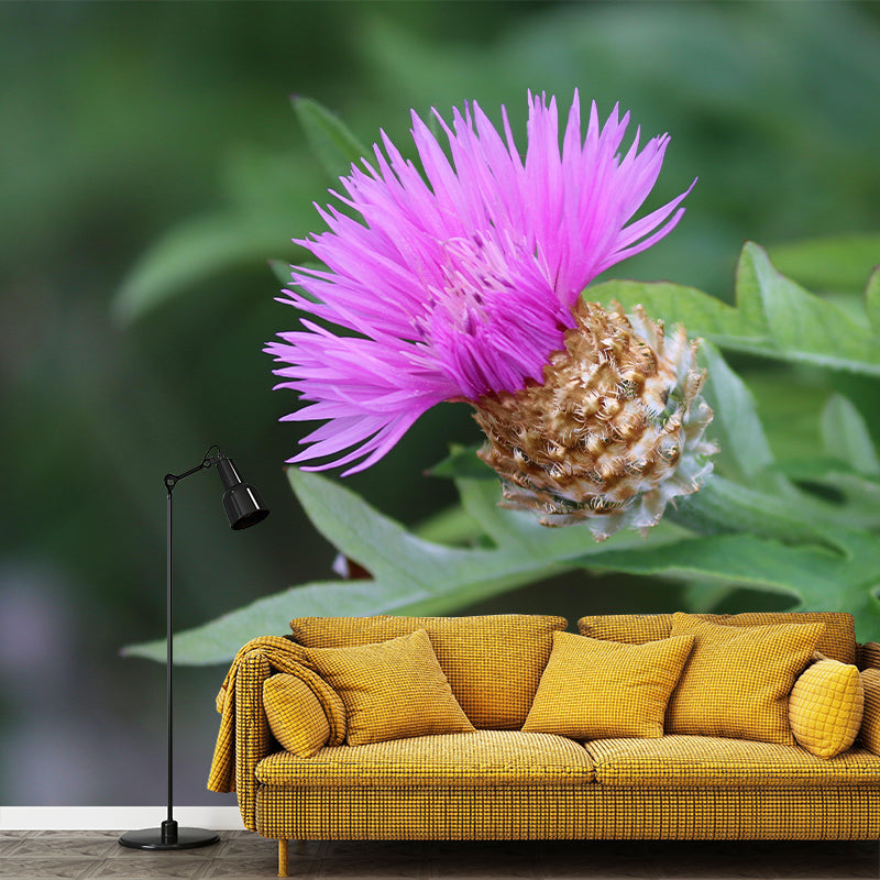 Customized Moisture Resistant Mural Wallpaper Decal Knapweed Wall Decor