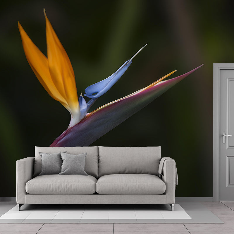 Bird of Paradise Flower Mural Decal Modern Style Moisture Resistant for Sitting Room