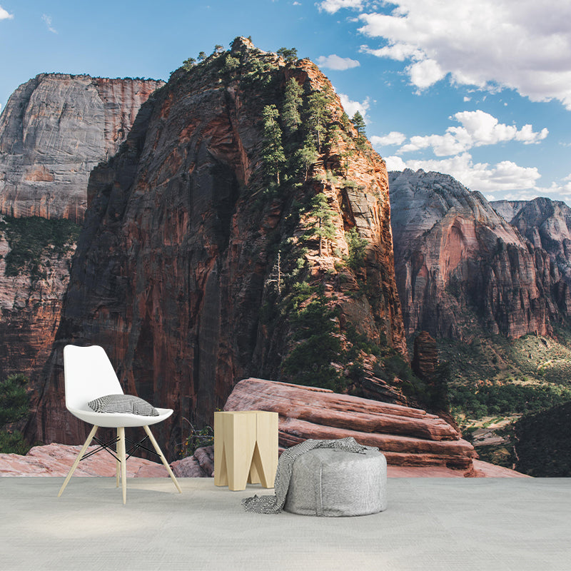 Customized Moisture Resistant Mural Wallpaper Decal Mountain in Soft Color