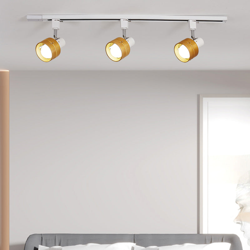 Cylinder Ceiling Flush Mount Contemporary Style Metal Ceiling Mount Light Fixture