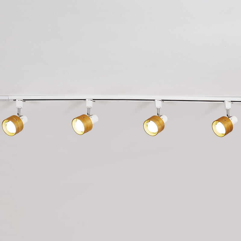Cylinder Ceiling Flush Mount Contemporary Style Metal Ceiling Mount Light Fixture