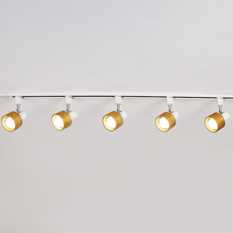 Cylinder Ceiling Flush Mount Contemporary Style Metal Ceiling Mount Light Fixture