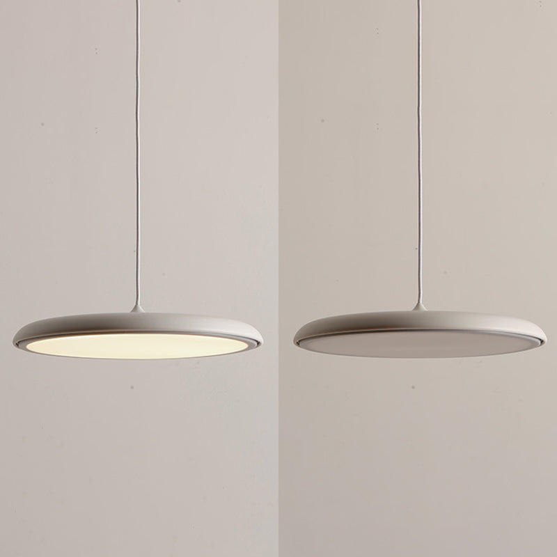 Contemporary Simplicity Farmhouse Ceiling Light with Unique Metal Shade