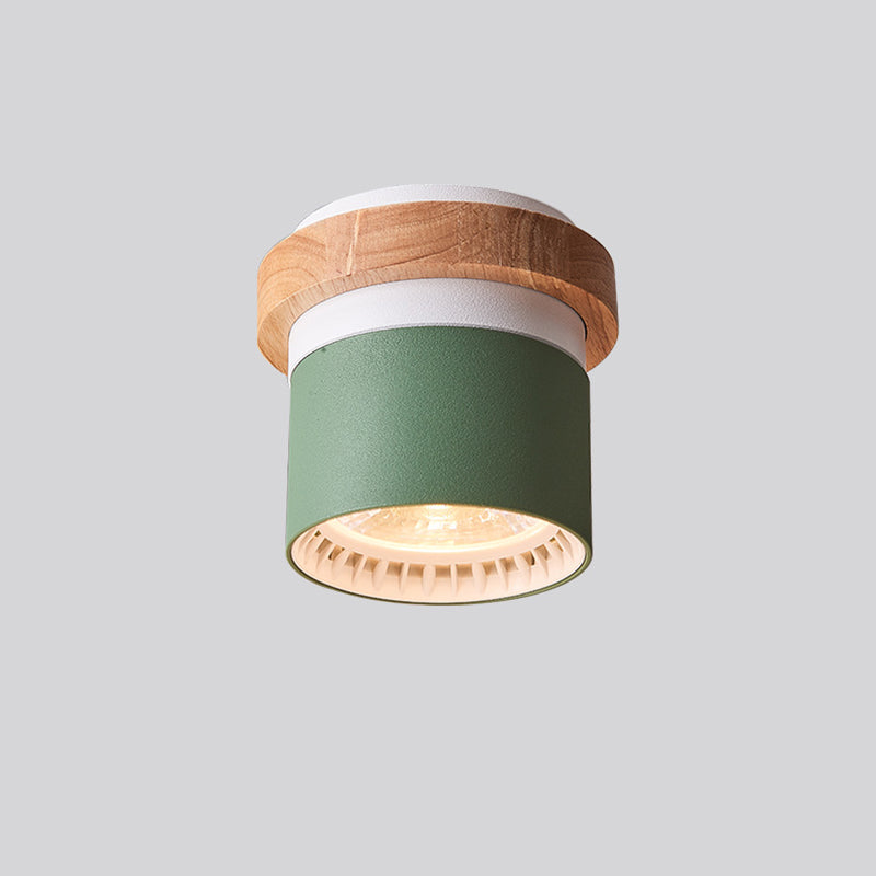 Metal Round Shaped Flush Mount Fixture Modern Style 1 Head Led Flush Light