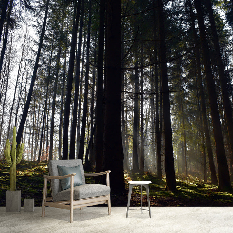 Misty Forest Wall Mural Great Wall Decor for Guest Room, Personalized Size