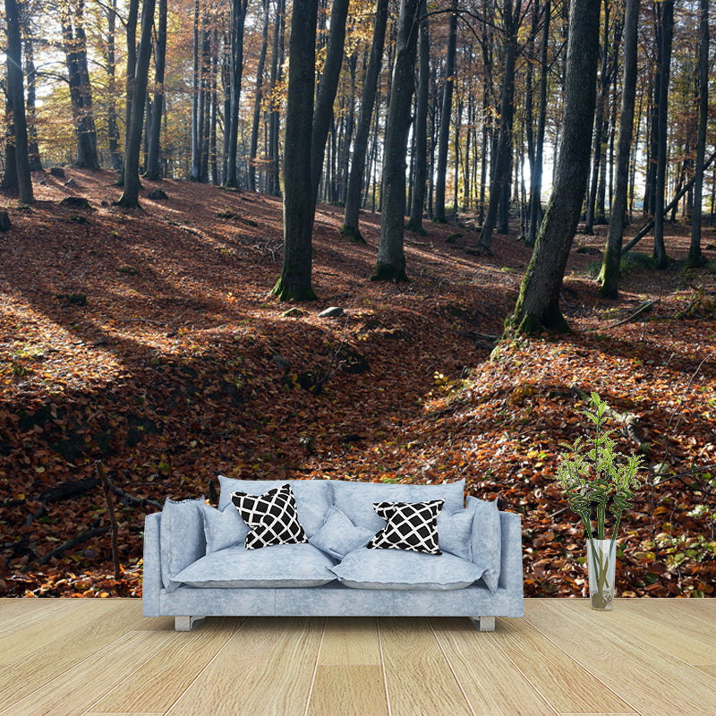 Misty Forest Wall Mural Great Wall Decor for Guest Room, Personalized Size