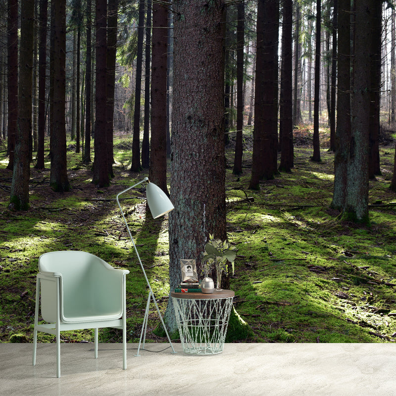 Forest Mural Wallpaper Photo Horizontal Mildew Resistant for Living Room