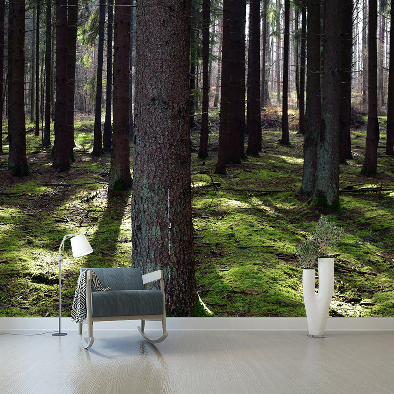 Forest Mural Wallpaper Photo Horizontal Mildew Resistant for Living Room