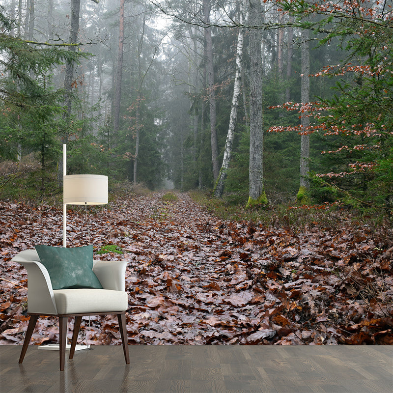 Forest Mural Wallpaper Photo Horizontal Mildew Resistant for Living Room