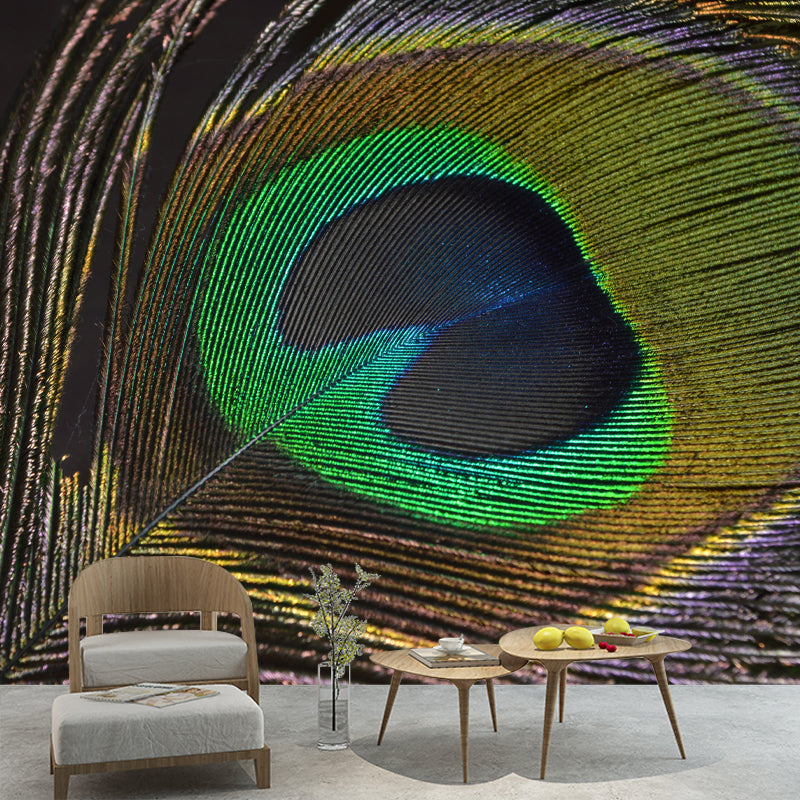 Peacock Feather Wall Covering Mildew Resistant for Sleeping Room, Customized Size