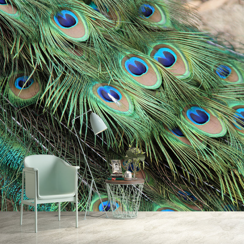 Peacock Feather Wall Covering Mildew Resistant for Sleeping Room, Customized Size
