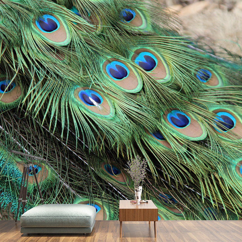 Peacock Feather Wall Covering Mildew Resistant for Sleeping Room, Customized Size