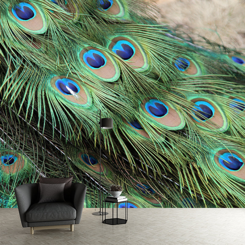 Peacock Feather Wall Covering Mildew Resistant for Sleeping Room, Customized Size