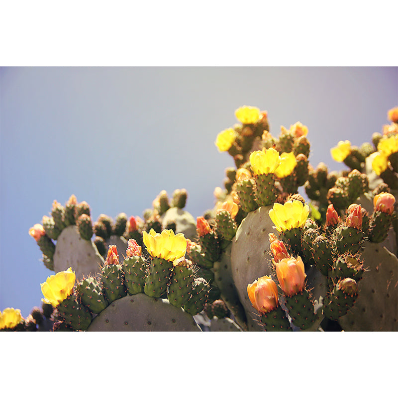 Tropical Cactus Mural Large Size Wall Covering for Home, Made to Measure