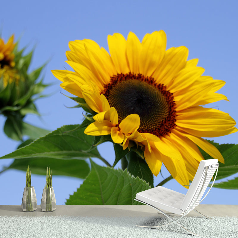 Blooming Sunflower Wall Mural for Living Room Decoration, Made to Measure
