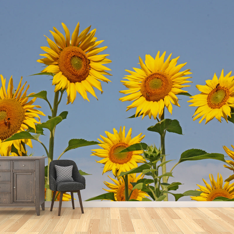 Yellow Sunflower Simple Mural for Bedroom Water Resistant, Made to Measure