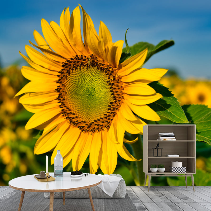 Yellow Sunflower Simple Mural for Bedroom Water Resistant, Made to Measure