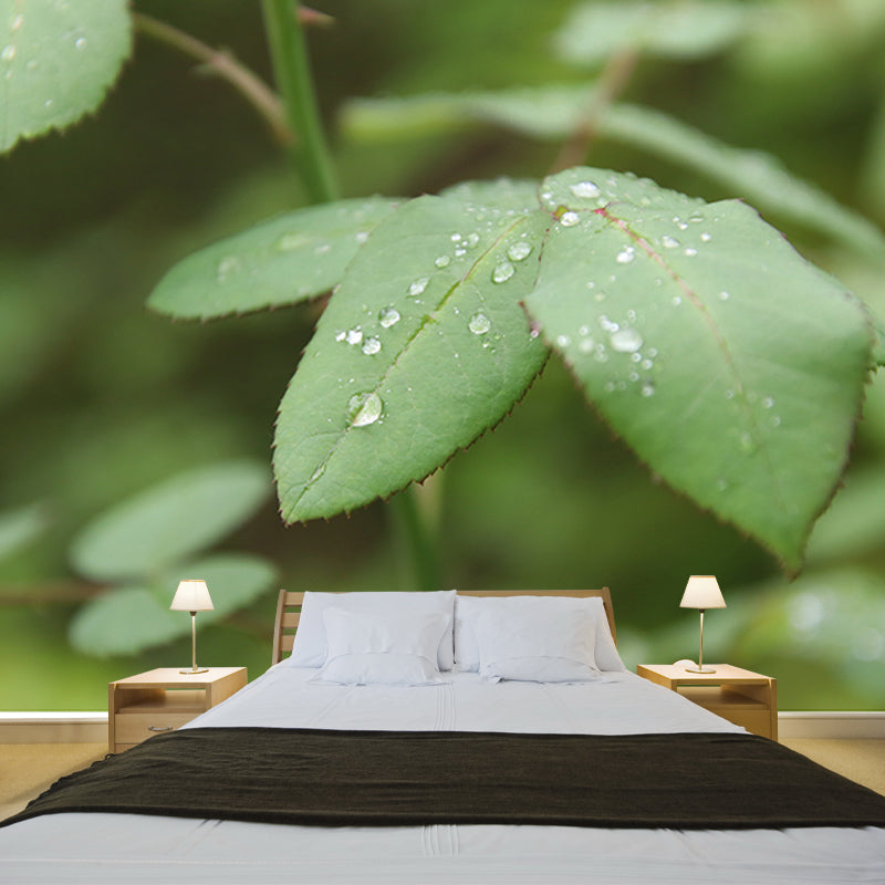 Green Leaf Mural Wallpaper Moisture Wallpaper Resistant for Bedroom Decor