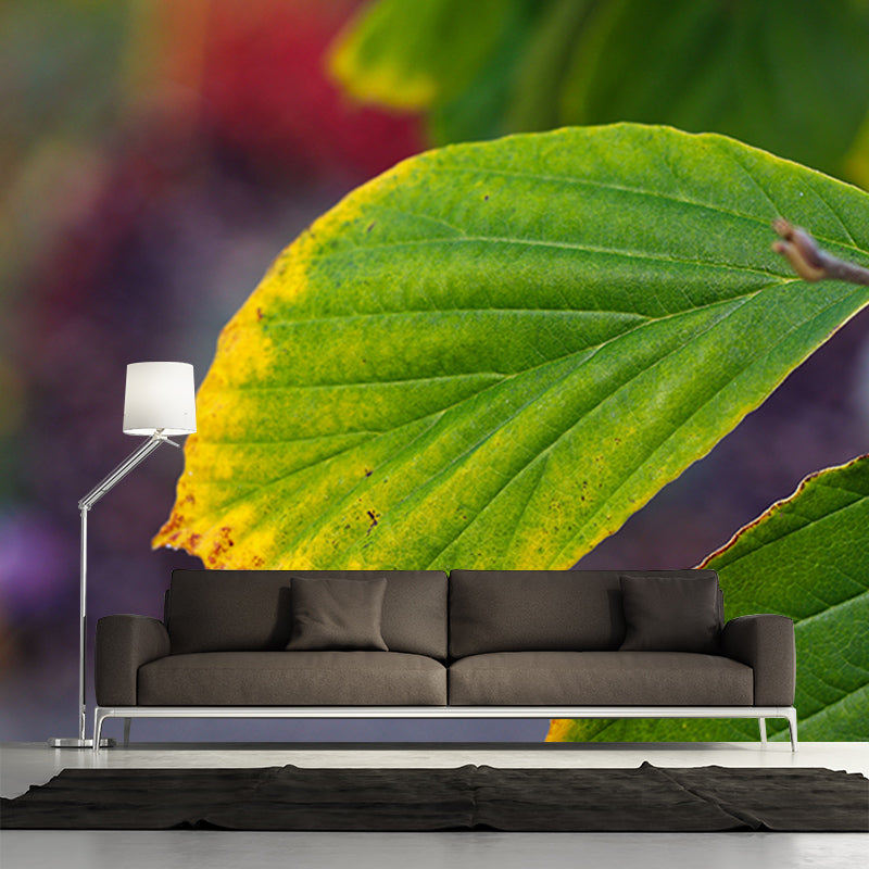 Green Leaf Mural Wallpaper Moisture Wallpaper Resistant for Bedroom Decor