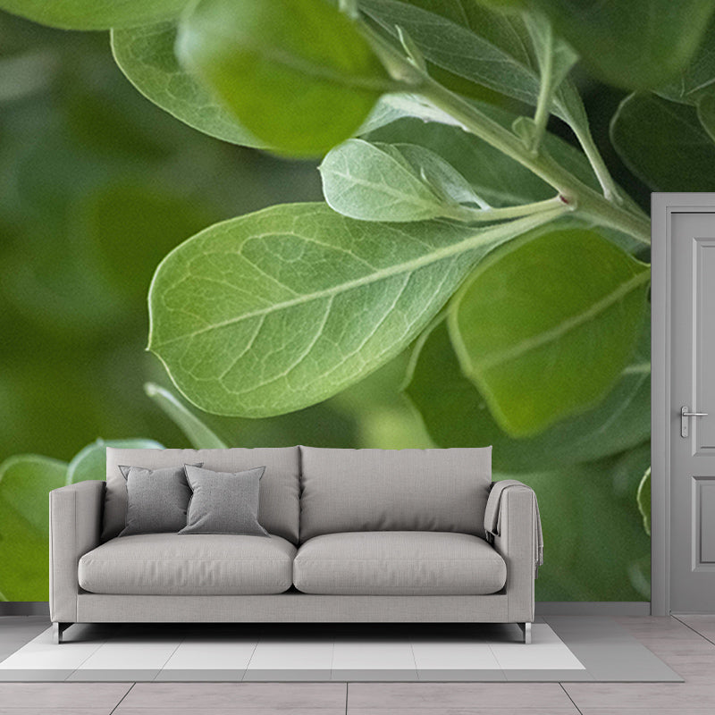 Green Leaf Mural Wallpaper Moisture Wallpaper Resistant for Bedroom Decor