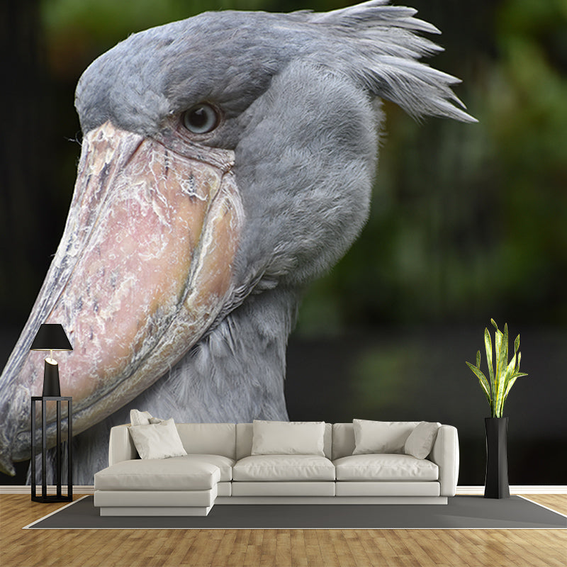 Pelican Animal Mural Wallpaper Contemporary Wall Covering for Sitting Room