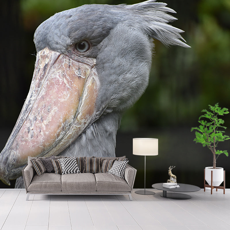 Pelican Animal Mural Wallpaper Contemporary Wall Covering for Sitting Room