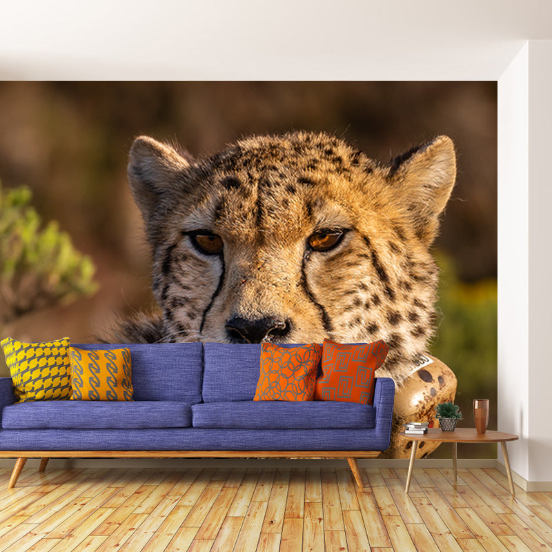 Cheetah Wall Art Decor for Bedroom Living Room Home Decoration, Waterproofing