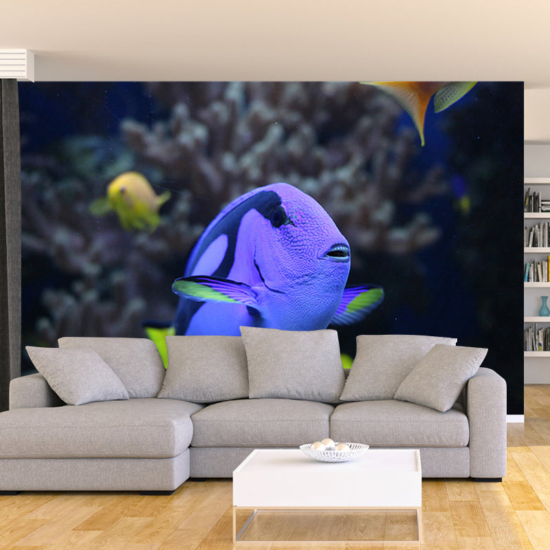 Sea Creatures Photography Decorative Wall Murals for Bedrooms Sitting Room