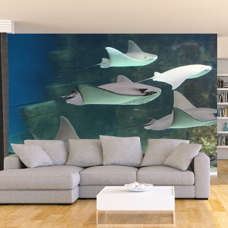 Sea Creatures Photography Decorative Wall Murals for Bedrooms Sitting Room