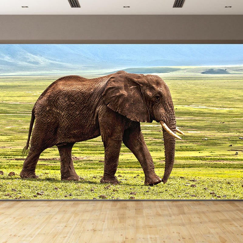 Elephant Animal Wall Covering for Home Decoration Waterproofing, Made to Measure