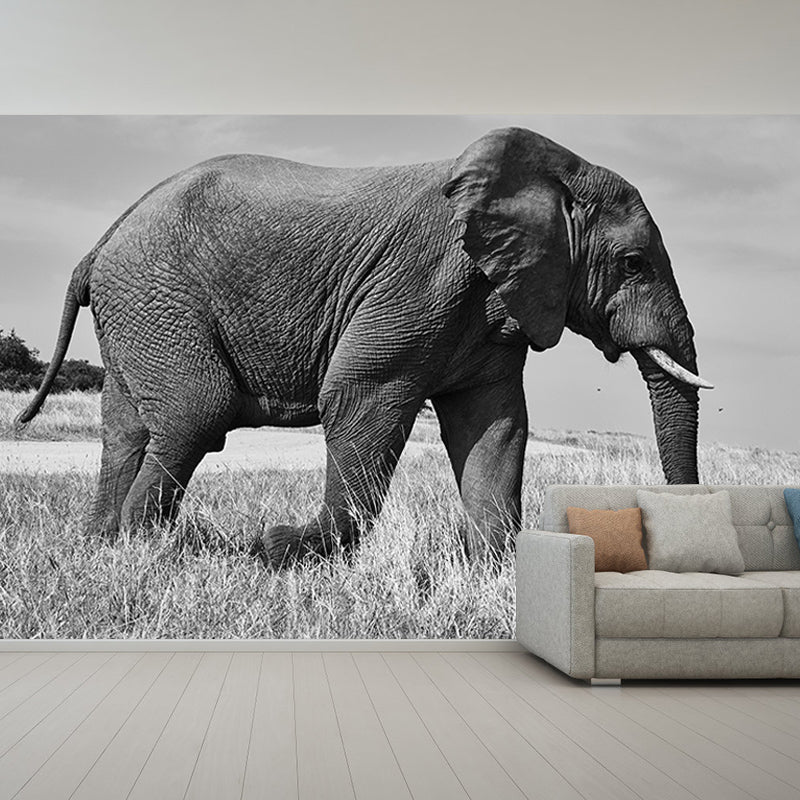 Elephant Animal Wall Covering for Home Decoration Waterproofing, Made to Measure