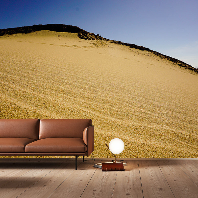 Desert Mural for Sitting Room Moisture Resistant Wall Decor, Contemporary Wall Covering for