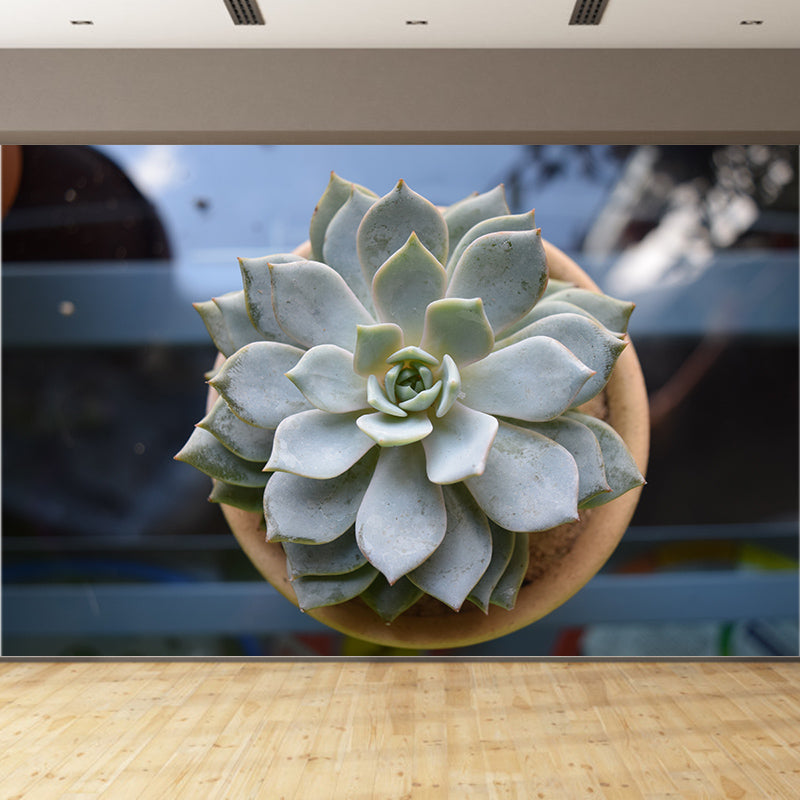 Tropical Plants Mural House Interior Wall Art, Made to Measure, Waterproofing