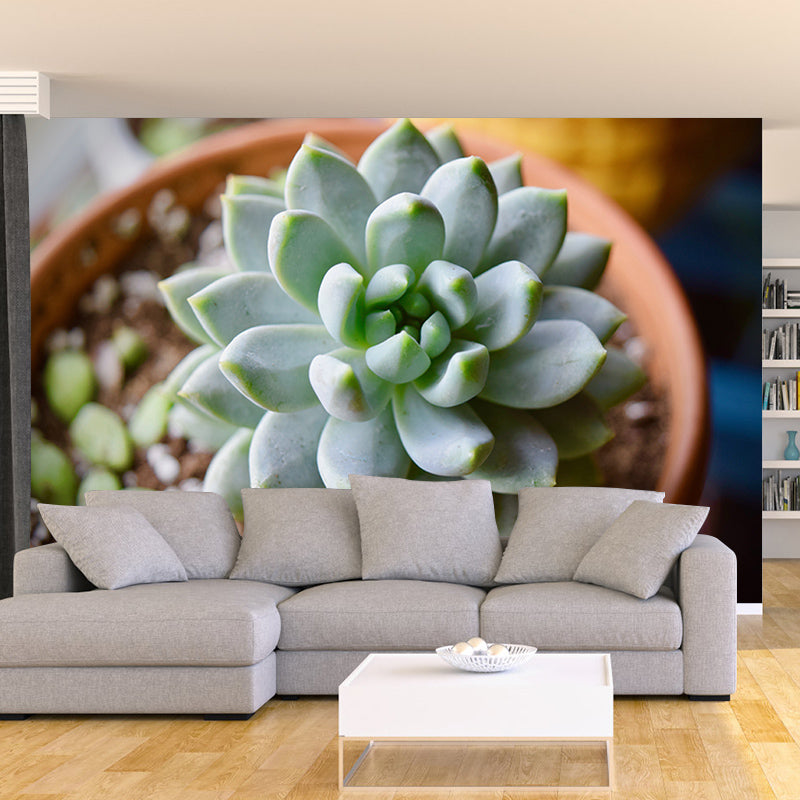 Tropical Plants Mural House Interior Wall Art, Made to Measure, Waterproofing