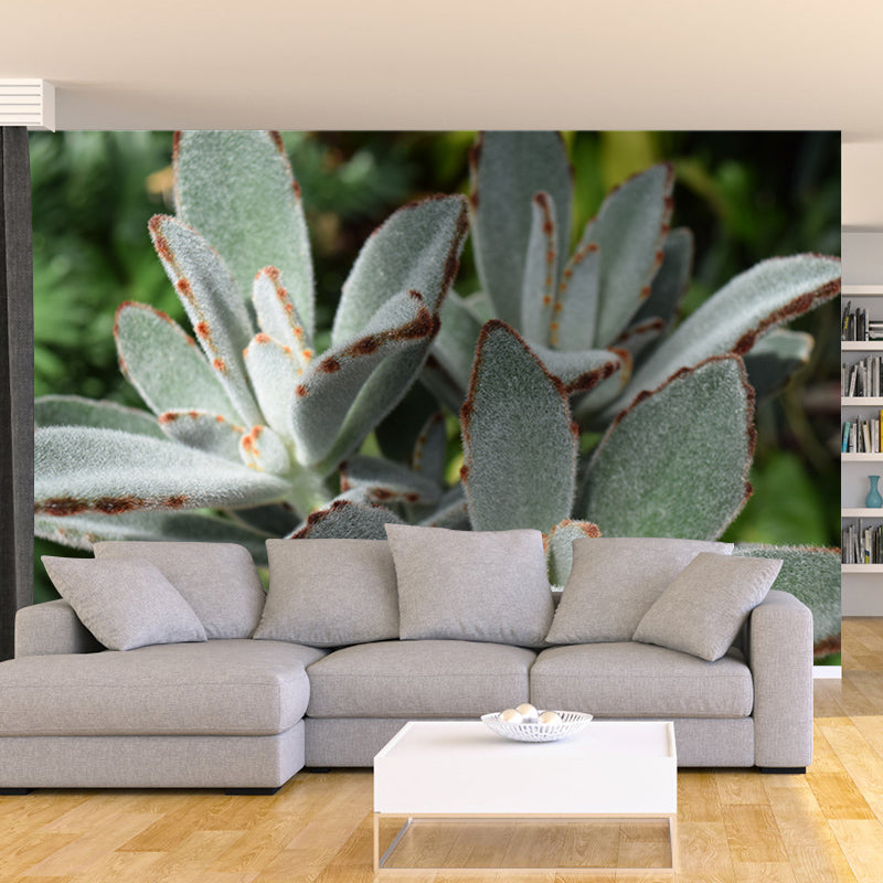 Tropical Plants Mural House Interior Wall Art, Made to Measure, Waterproofing