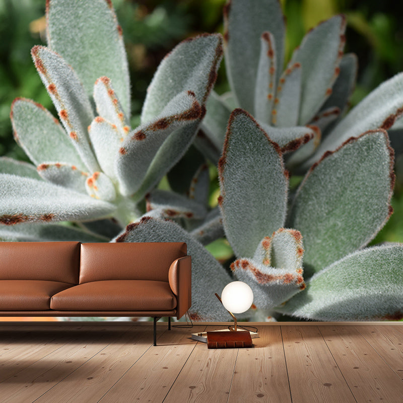 Tropical Plants Mural House Interior Wall Art, Made to Measure, Waterproofing