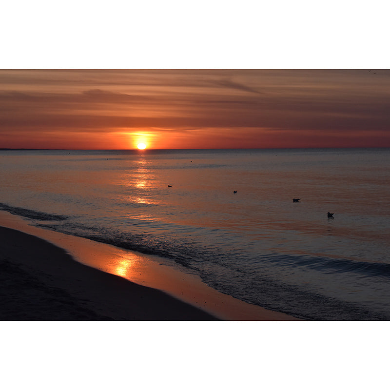 Minimalism Sea Wall Mural Decal Sitting Room Wallpaper, Made to Measure