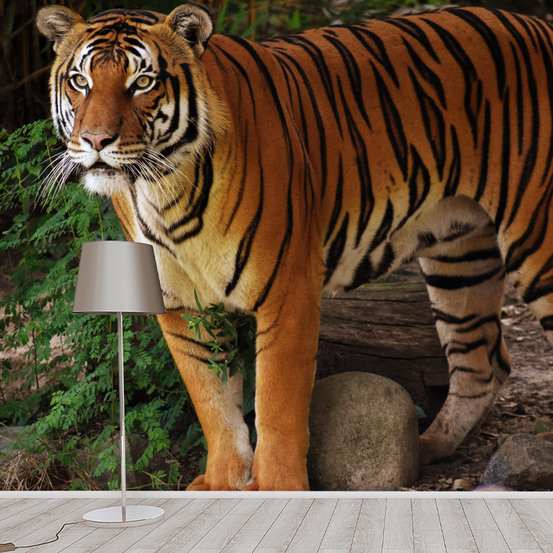 Modern Tiger Mural Wallpaper Moisture Resistant Living Room Wall Covering