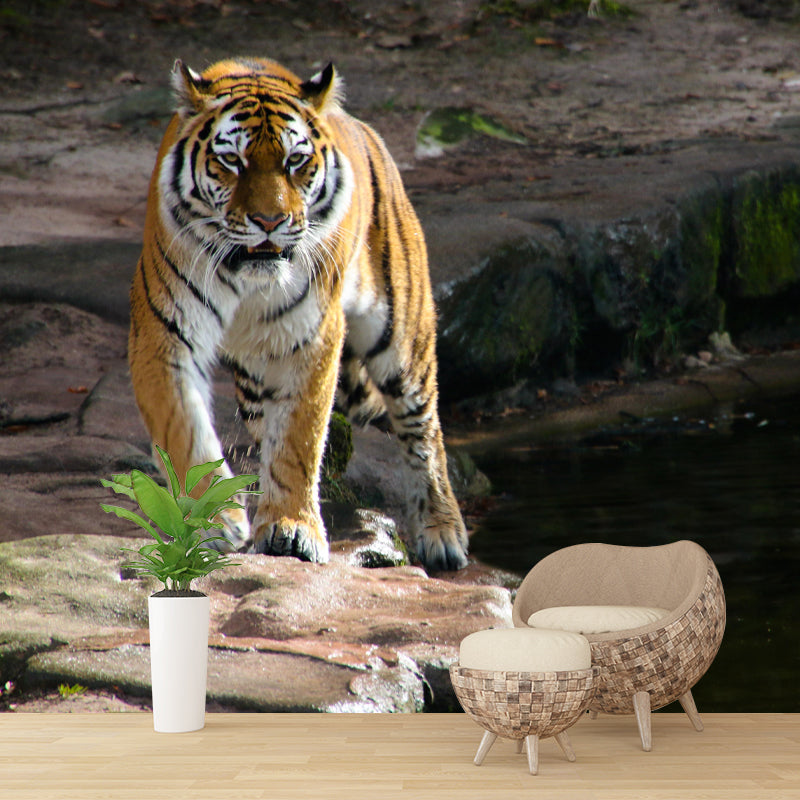 Modern Tiger Mural Wallpaper Moisture Resistant Living Room Wall Covering