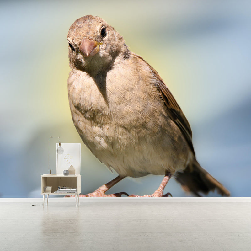 Modern Sparrow Mural Wallpaper Moisture Resistant Living Room Wall Covering