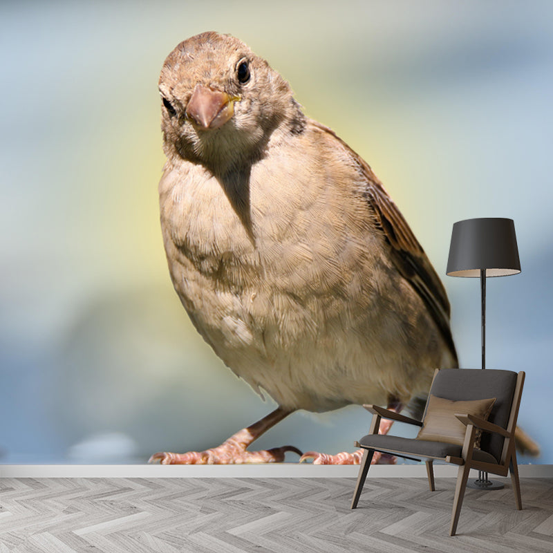 Modern Sparrow Mural Wallpaper Moisture Resistant Living Room Wall Covering