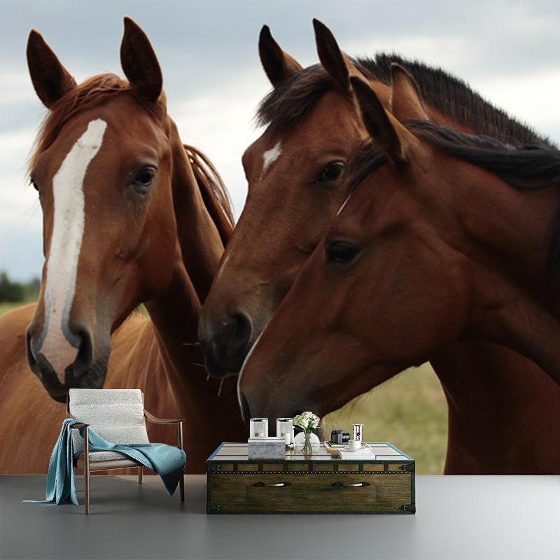 Modern Horse Mural Wallpaper Moisture Resistant Living Room Wall Covering
