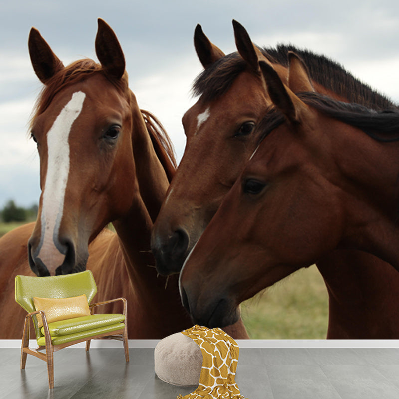 Modern Horse Mural Wallpaper Moisture Resistant Living Room Wall Covering